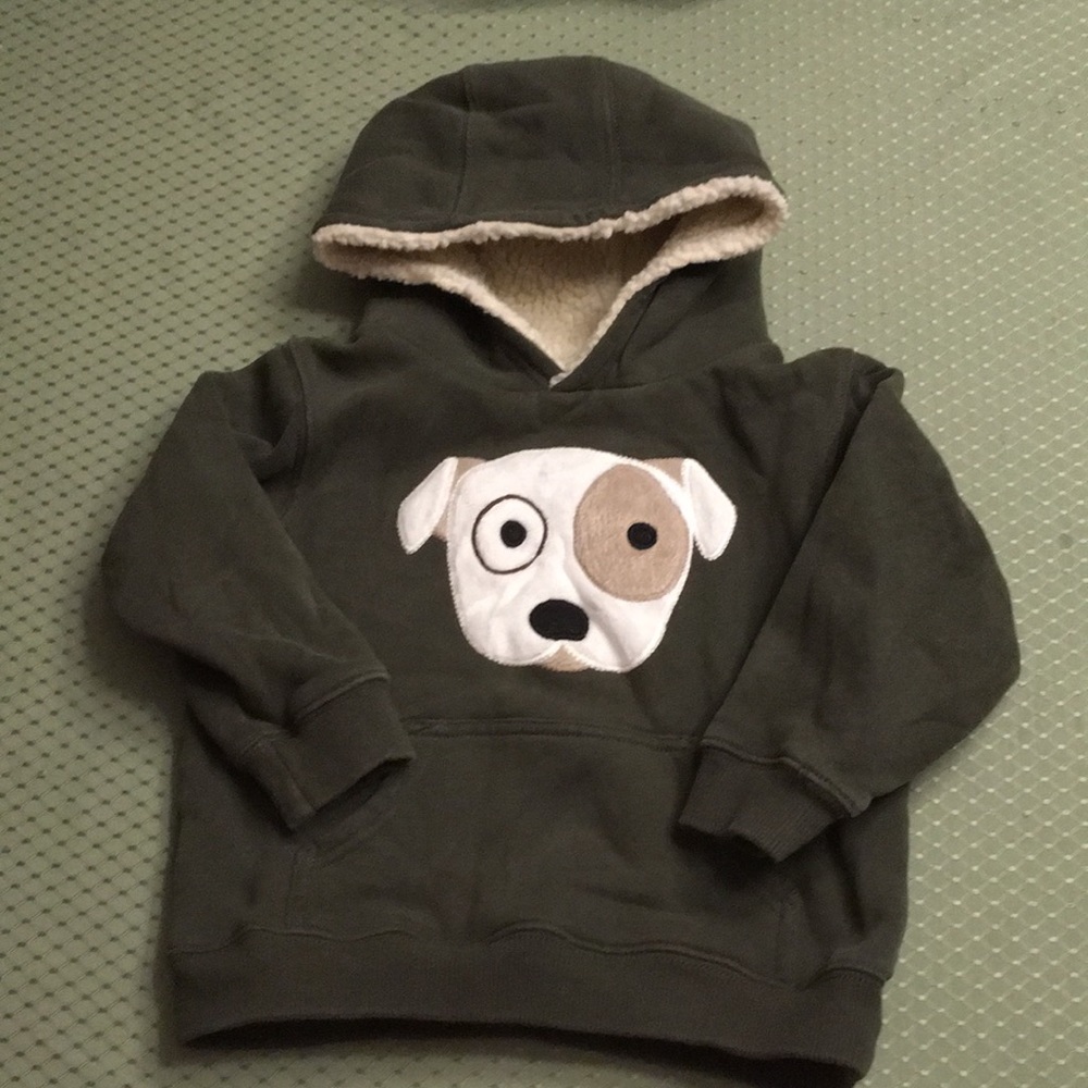 Gymboree Hooded Sweatshirt with Puppy Appliqué and Fleece lined Hood